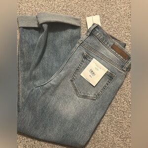 Cello Classic Blue Denim Pants